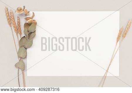 White Invitation Card Mockup With A Dried Eucalyptus And Golden Ears Decoration On A Neutral Table. 