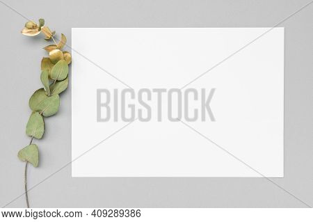 White Invitation Card Mockup With A Dried Grass Decoration On A Neutral Table. 5x7 Ratio, Similar To