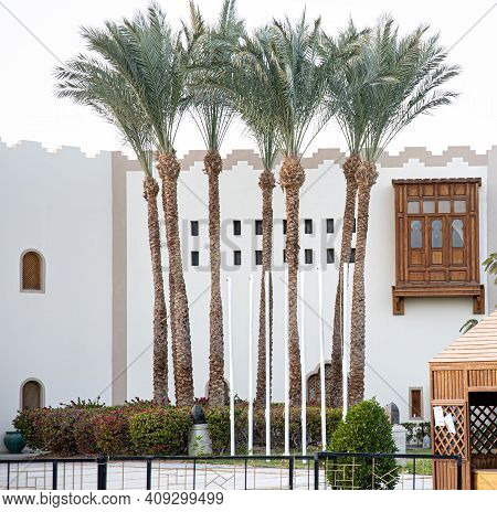 Tall Exotic Egyptian Palms, Sharm El Sheikh Hotel. Recreation And Tourism Concept.