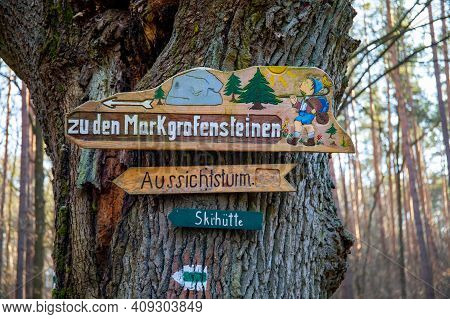 Old Weathered Sign On A Tree Trunk In The Forest.