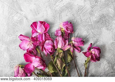 Lonely Wilted Red Roses On A Gray Stone Background. Dead Flowers On A Textural Background Top View. 