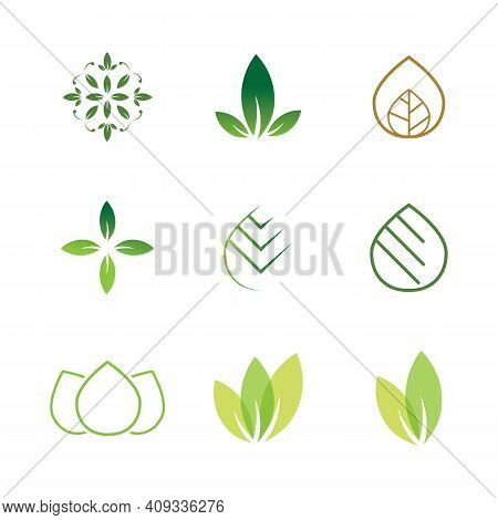 Leaf