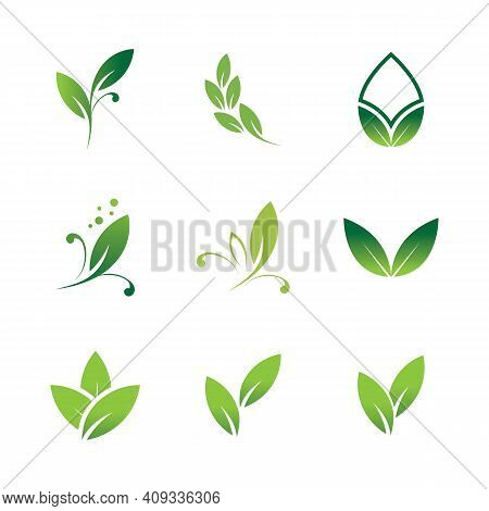 Leaf