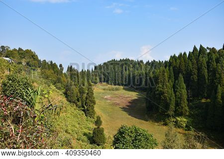 Dried Lake Surrounded By Pine Trees With Bright Blue Sky In Sittong Darjeeling