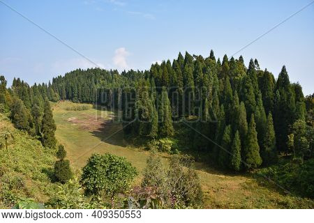 Dried Lake Surrounded By Pine Trees With Bright Blue Sky In Sittong, Darjeeling