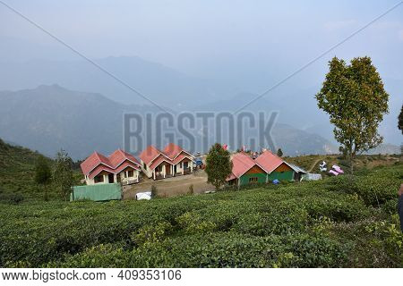 Home Stay With Organic Tea Plantation In Darjeeling With Blissful And Scintillating Himalayan View