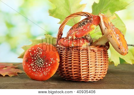 červené amanitas v koši, na zeleném pozadí