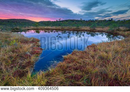 Magical Summer Landscape With Small Lake In The Swamp. Green Pine Trees Reflection On The Water In T