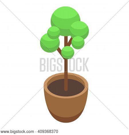Airport Tree Icon. Isometric Of Airport Tree Vector Icon For Web Design Isolated On White Background