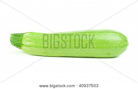 Zucchini