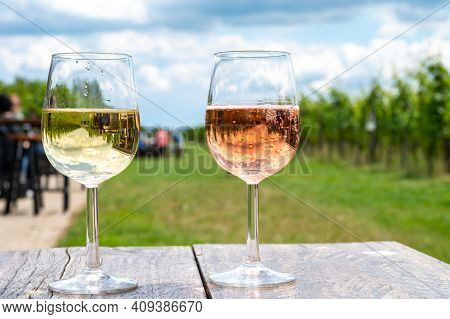 Tasting Of Dutch Sparkling Rose And Dry White Wine On Vineyard In Summer
