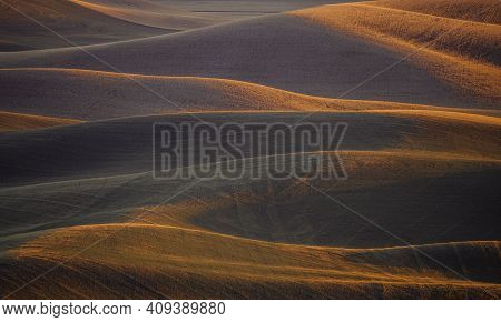 Rolling Hills Wheat Field In Palouse, Eastern Washington
