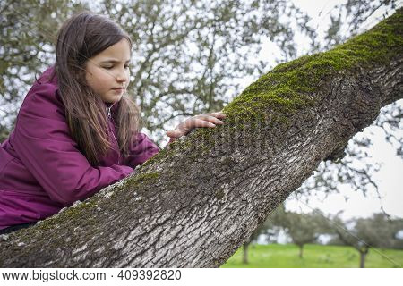 Child Girl Feeling Tree Moss Over Branch. Children Discovering Textures In Nature. Selective Focus