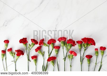Beaytiful Carnation Flowers On Marble Background. Top View