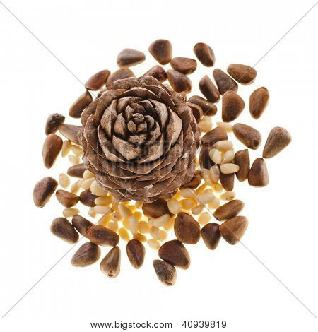 กรวยไพน์ซีดาร์ มีถั่วแยกต่างหากบนพื้นหลังสีขาว