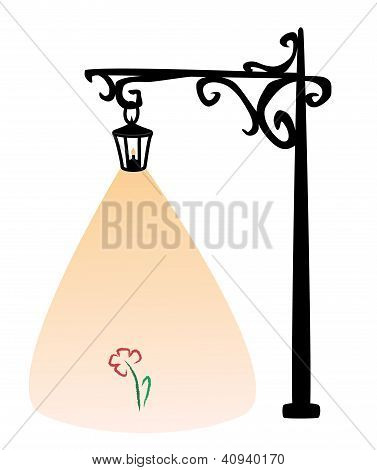 Lampa a květina