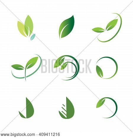Leaf