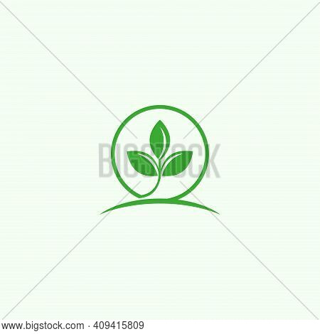 Green Plant Vector Illustration For Plantation Land Icon, Symbol Or Logo. Garden Logo. Natural Produ