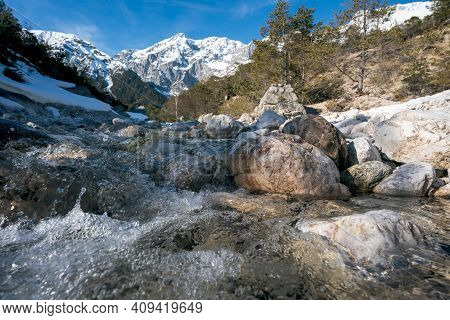 Clear Splashing Mountain River Flowing Over Rocks Through Evergreen Forest With Last Snow, Mieminger