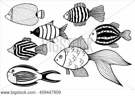 Set Of Fishes, Hand Drawn Isolated Illustration