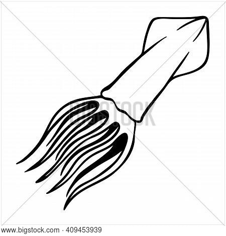 Squid, Hand Drawn Isolated Vector Illustration In Black And White
