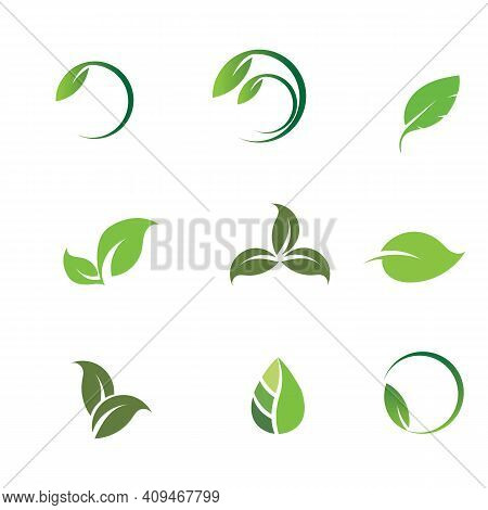 Leaf