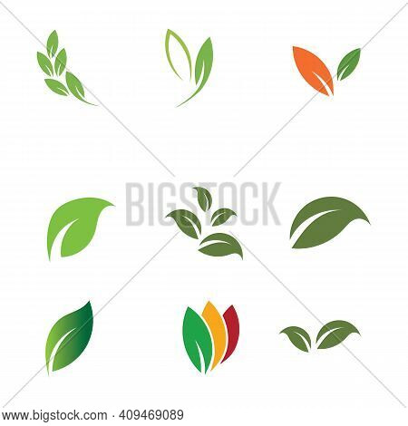 Leaf