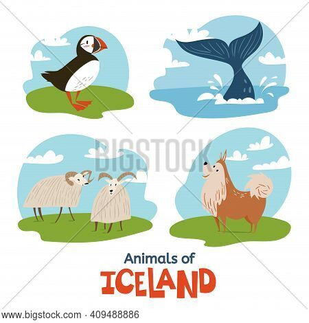 Animals Of Iceland In Flat Modern Style
