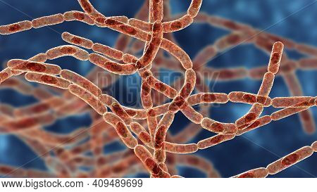 Bacteria Bacillus Anthracis, The Causative Agent Of Anthrax Disease, 3d Illustration