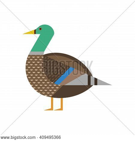 Mallard Bird Geometric Icon In Flat Design