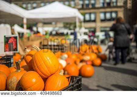 Pumpkins For Sale, Some Days Before Halloween Celebration, In A Street Market At Union Square, Manha