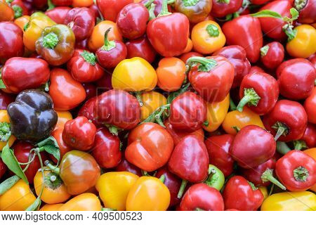 Tomatoes And Peppers And Other Different Kinds Of Vegetables In A Street Market In Union Square, Man