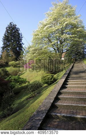 Verbania (vco), Italy - April 01, 2017: Villa Taranto Botanical Gardens, Verbania, Piedmont, Italy