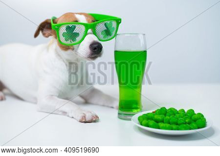 Dog With A Mug Of Green Beer And Glazed Nuts In Funny Glasses On A White Background. Jack Russell Te