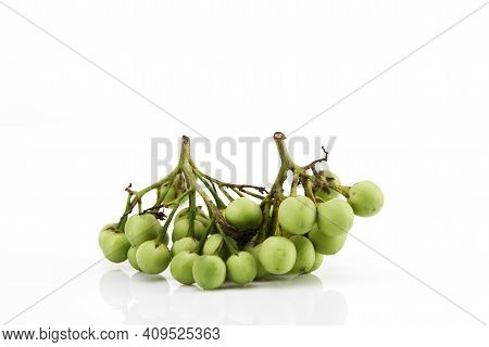 Solanum Torvum ,turkey Berry On White