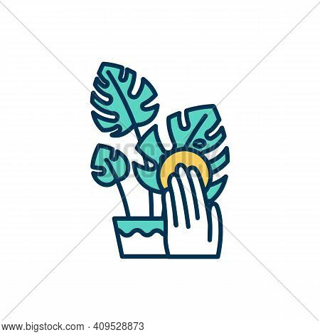 Cleaning Indoor Plant Leaves Rgb Color Icon. Leaf Washing And Spraying. Removing Dust And Dirt. Hous