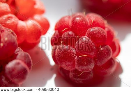 Close-up. Red Sweet Fresh Raspberry Berries Close-up. . Macro Photo.