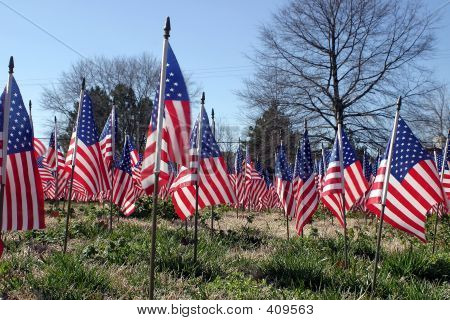 Flags