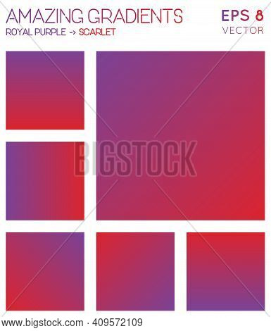 Colorful Gradients In Royal Purple, Scarlet Color Tones. Admirable Background, Awesome Vector Illust