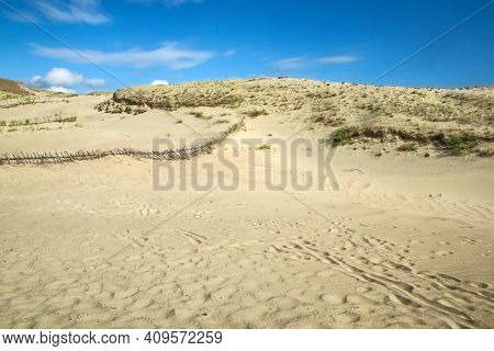 A Picture From The Curonian Spit (kursiu Nerija) National Park In Lithuania. The Big Sand Dunes By T