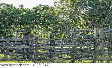 Empty Cattle Yards With Timber Fencing On A Rural Property