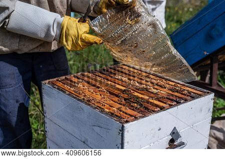Close Up Shot Of A Beehive Being Opened With A Metallic Tool By Beekeeper.