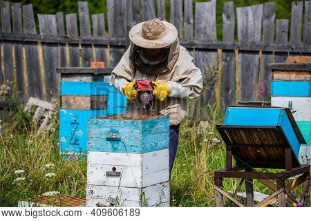 Bee Master On Apiary. Man In Protective Hat Works With Chimney In The Beehive. Beekeeper Examining B
