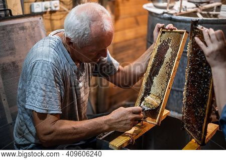 Beekeeper Uncapping Honey Cells On The Hive Frames With A Uncapping Comb