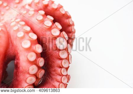 Octopus Isolated On White Background, Boiled Whole Octopus Tentacles Seafood Squid Cuttlefish