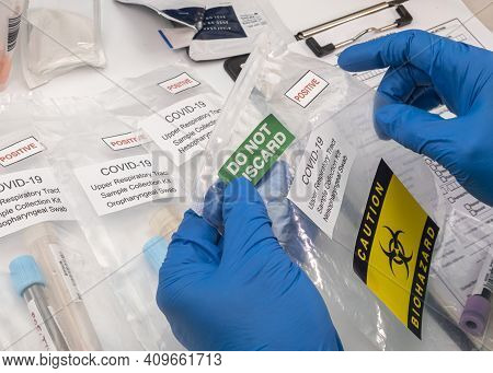 Nurse Analyses Positive Pcr Tests Of Covid-19 In A Hospital Laboratory, Conceptual Image