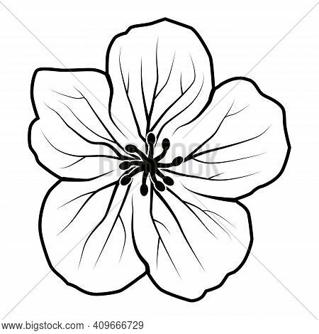 Black And White Geranium Flower Logo On White Background