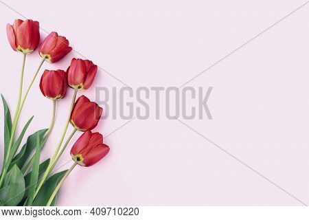 Red Tulips On A Pink Background. Top View, Copy Space.
