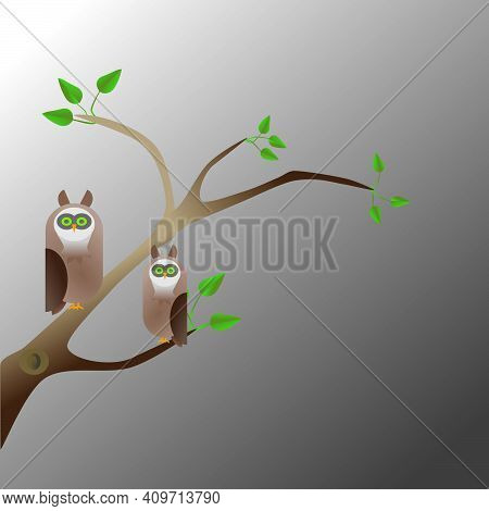 Owlstory3