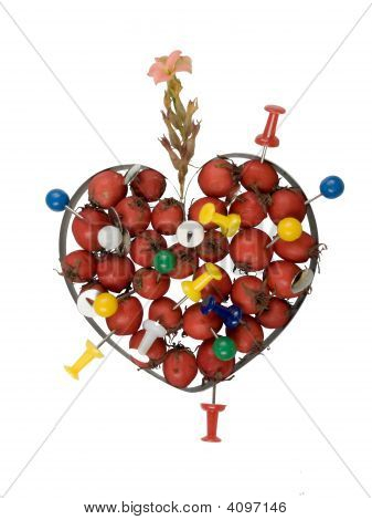 Cuore con sambuco, puntine da disegno e foglia, isolato, Closeup.